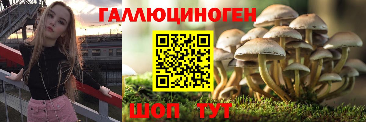 Псилоцибиновые грибы Magic Shrooms Владикавказ